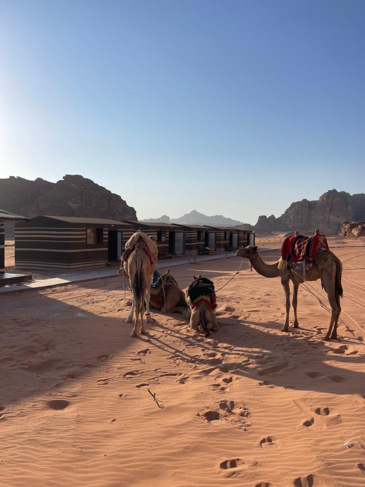 Wadi Rum Star Camp Ngoại thất bức ảnh
